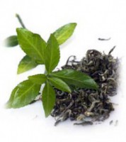 /album/fotogaleria/cajj-jpg/