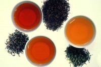 /album/fotogaleria/img0126-jpg/