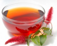 /album/fotogaleria/food-teas-jpg/